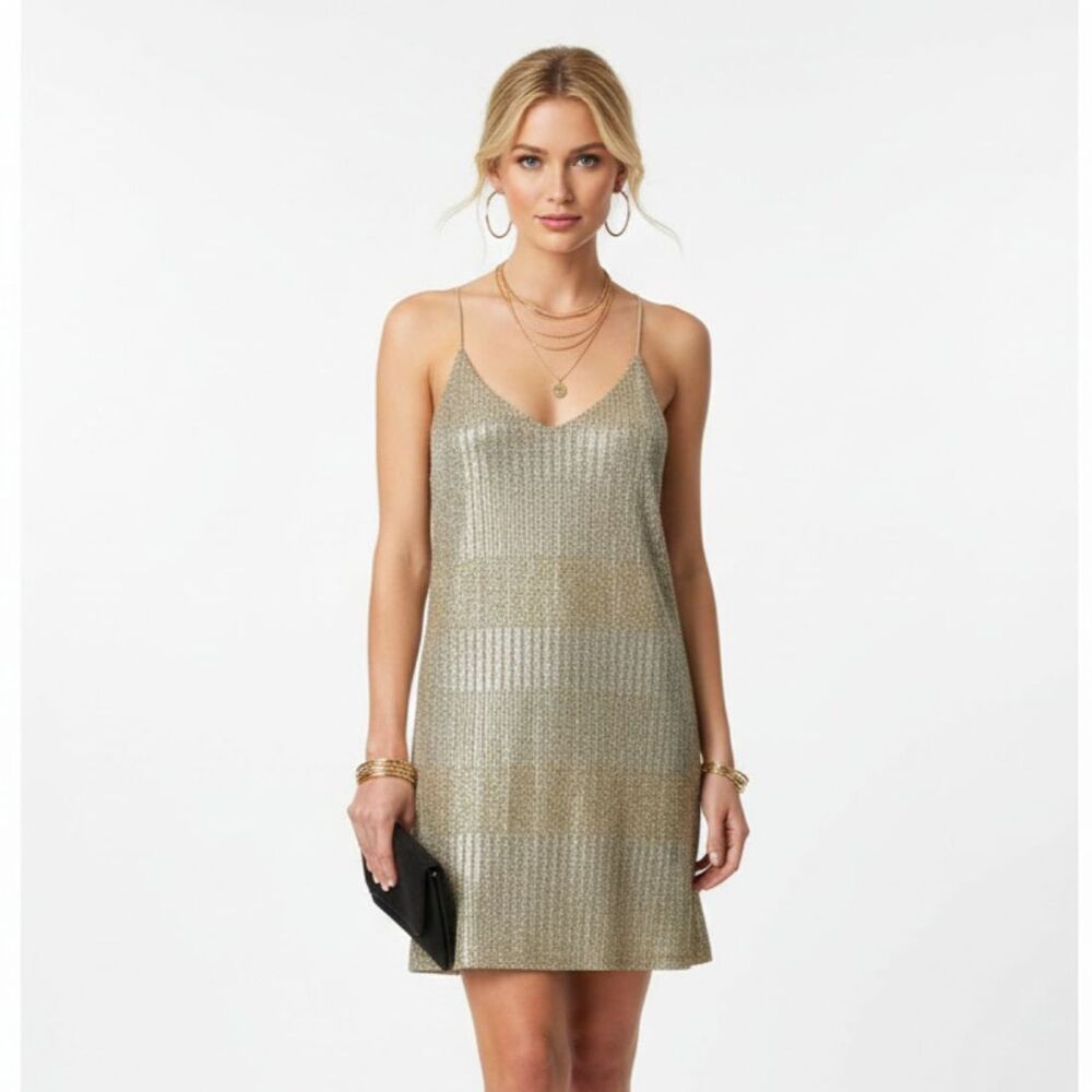 Bishop & Young Gold & Silver Striped Metallic Sleeveless Mini Slip Dress S